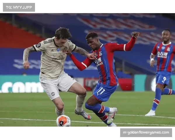 雨中激战：富勒姆与水晶宫球员在湿滑场地上拼抢